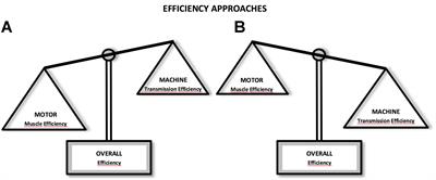 Locomotion as a Powerful Model to Study Integrative Physiology: Efficiency, Economy, and Power Relationship